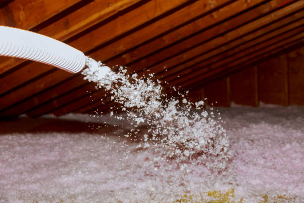 Best Cellulose Insulation in Astatula, FL