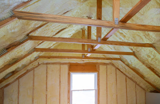 Best Spray Foam Insulation in Astatula, FL