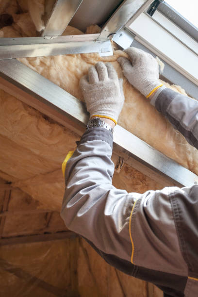 Best Spray Foam Insulation in Astatula, FL